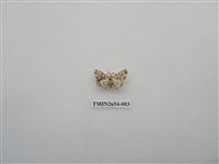 藏品(尺蛾186)的圖片